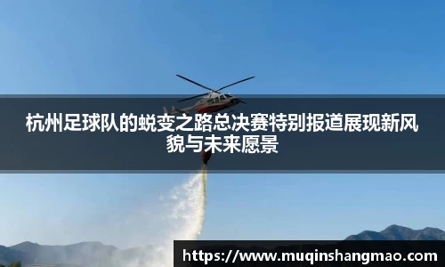 平博pinnacle体育平台